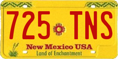 NM license plate 725TNS