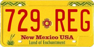 NM license plate 729REG