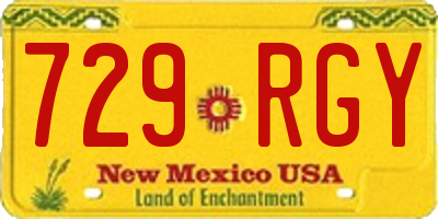 NM license plate 729RGY