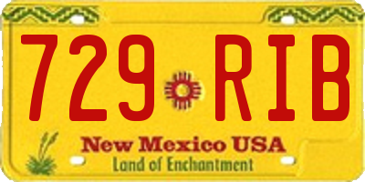 NM license plate 729RIB