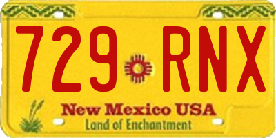 NM license plate 729RNX