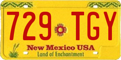 NM license plate 729TGY