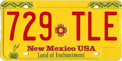 NM license plate 729TLE