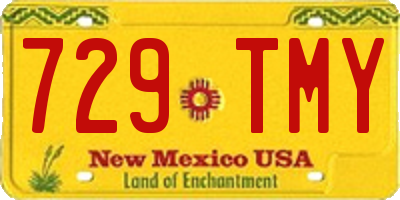 NM license plate 729TMY