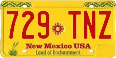 NM license plate 729TNZ