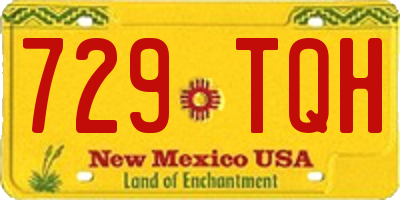 NM license plate 729TQH