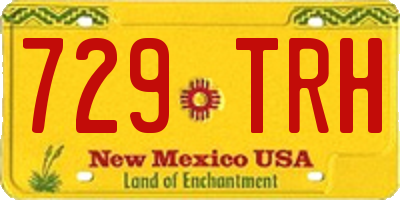NM license plate 729TRH
