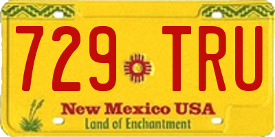 NM license plate 729TRU