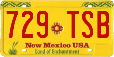 NM license plate 729TSB