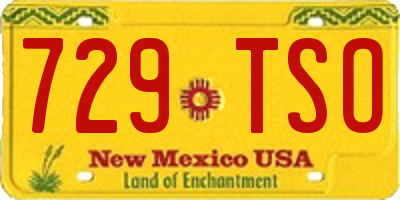 NM license plate 729TSO