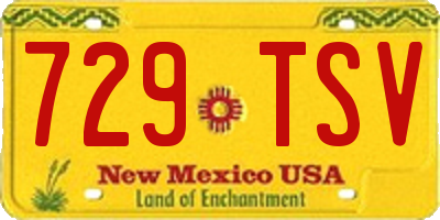 NM license plate 729TSV