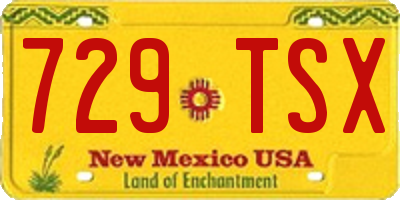 NM license plate 729TSX