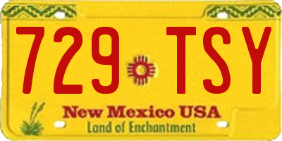 NM license plate 729TSY