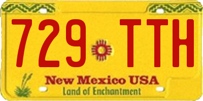 NM license plate 729TTH