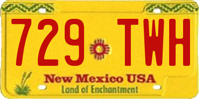 NM license plate 729TWH
