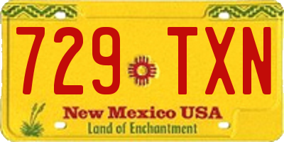 NM license plate 729TXN