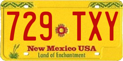 NM license plate 729TXY