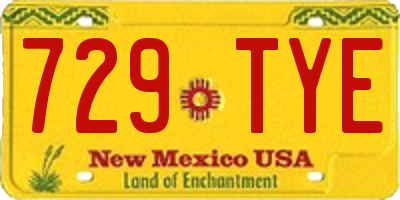 NM license plate 729TYE