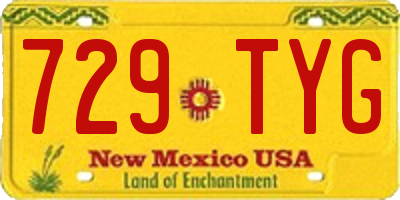 NM license plate 729TYG