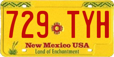 NM license plate 729TYH