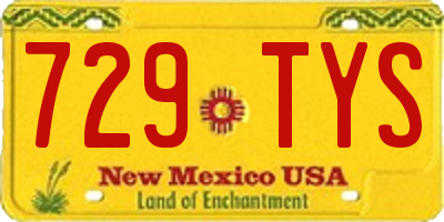 NM license plate 729TYS