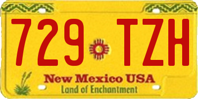NM license plate 729TZH