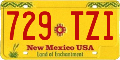 NM license plate 729TZI