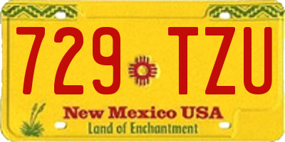 NM license plate 729TZU