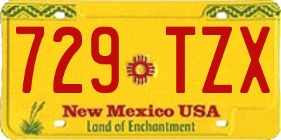 NM license plate 729TZX