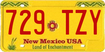 NM license plate 729TZY