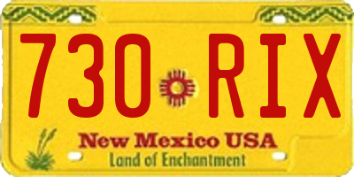 NM license plate 730RIX
