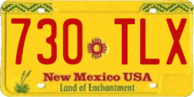NM license plate 730TLX