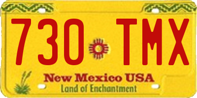 NM license plate 730TMX
