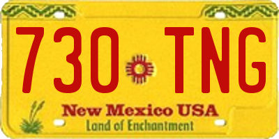 NM license plate 730TNG