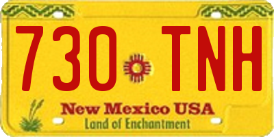 NM license plate 730TNH