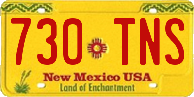 NM license plate 730TNS