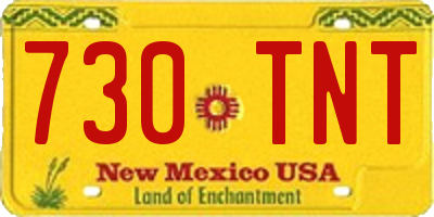 NM license plate 730TNT