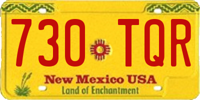 NM license plate 730TQR