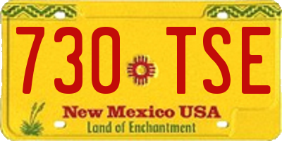 NM license plate 730TSE