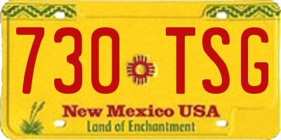 NM license plate 730TSG