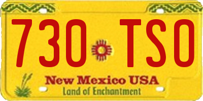 NM license plate 730TSO