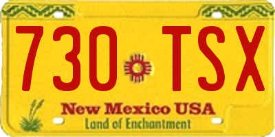 NM license plate 730TSX