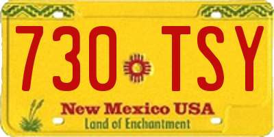 NM license plate 730TSY