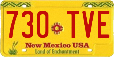 NM license plate 730TVE