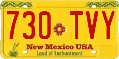NM license plate 730TVY