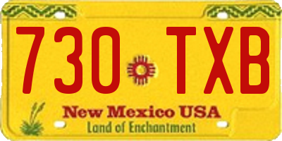 NM license plate 730TXB