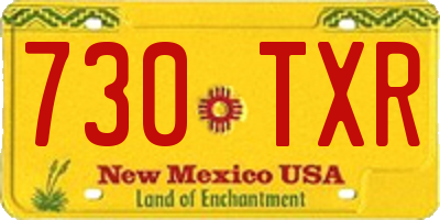NM license plate 730TXR