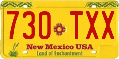 NM license plate 730TXX