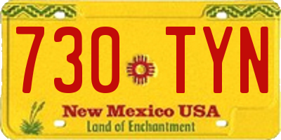 NM license plate 730TYN