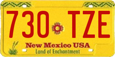 NM license plate 730TZE